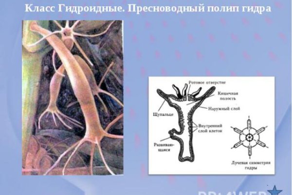 Кракен оригинальные ссылка в тор