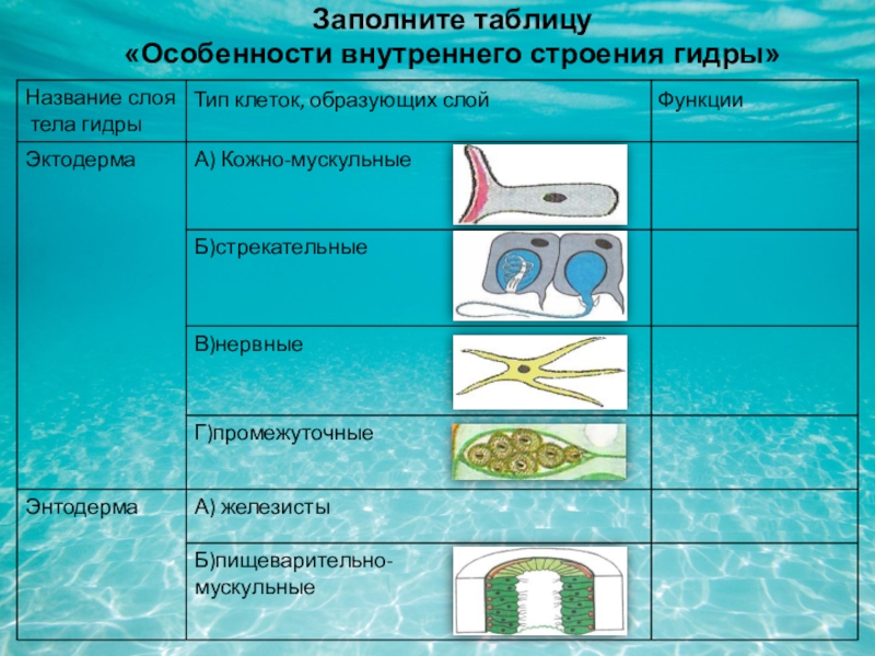 Забыл пароль кракен